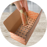 Coin Storage & Organizers